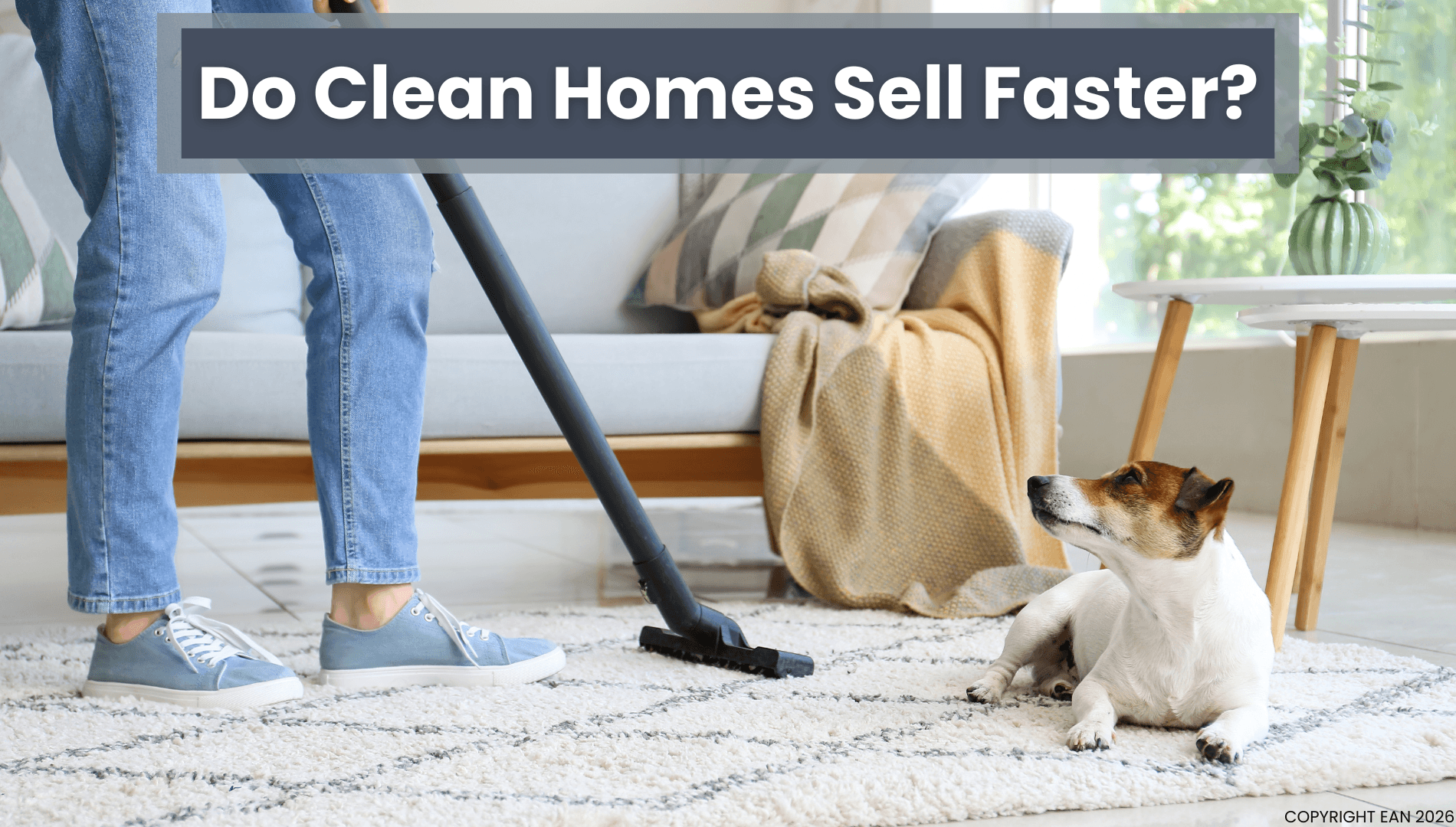 Do Clean Homes Sell Faster?