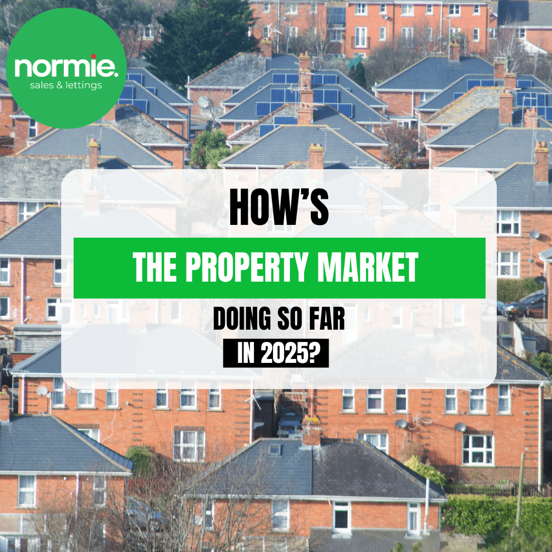 Property Market Update for Manchester Buyers and Sellers: January 2025