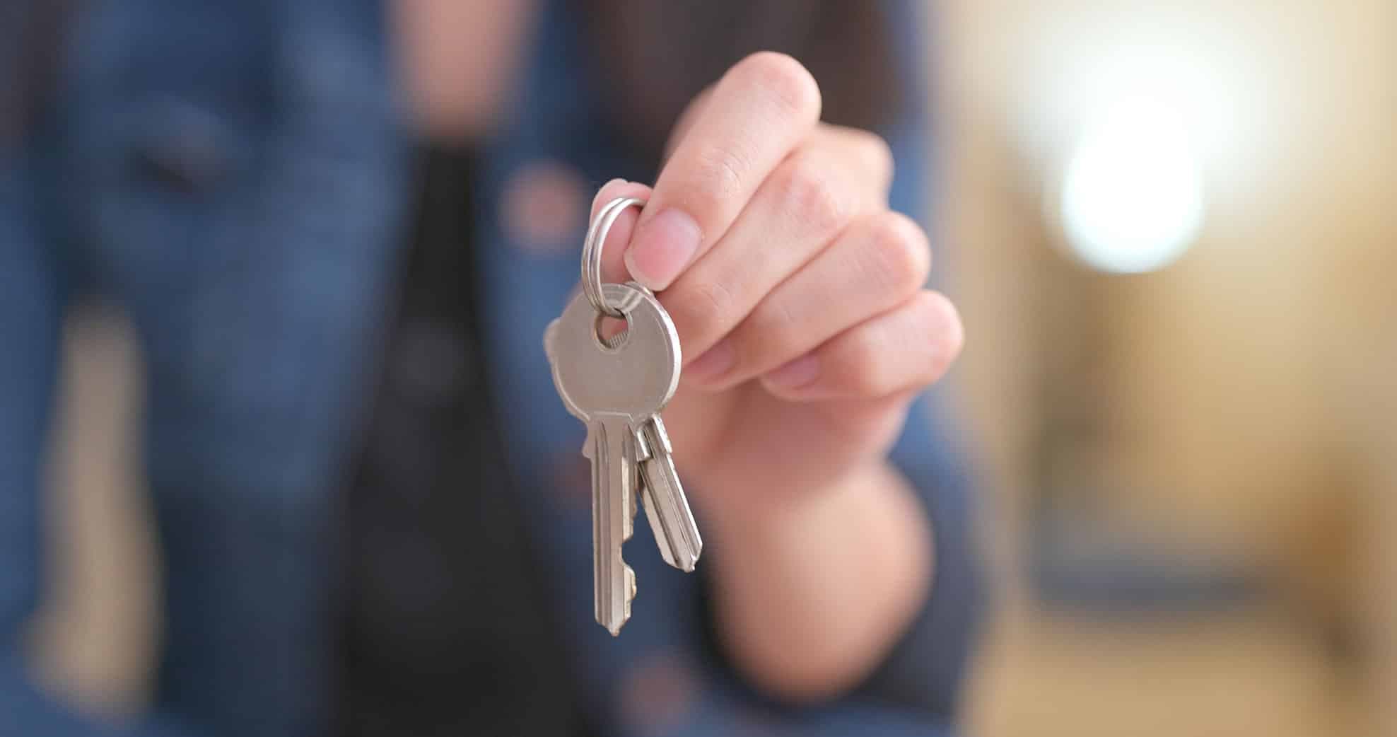 Letting or Sale?