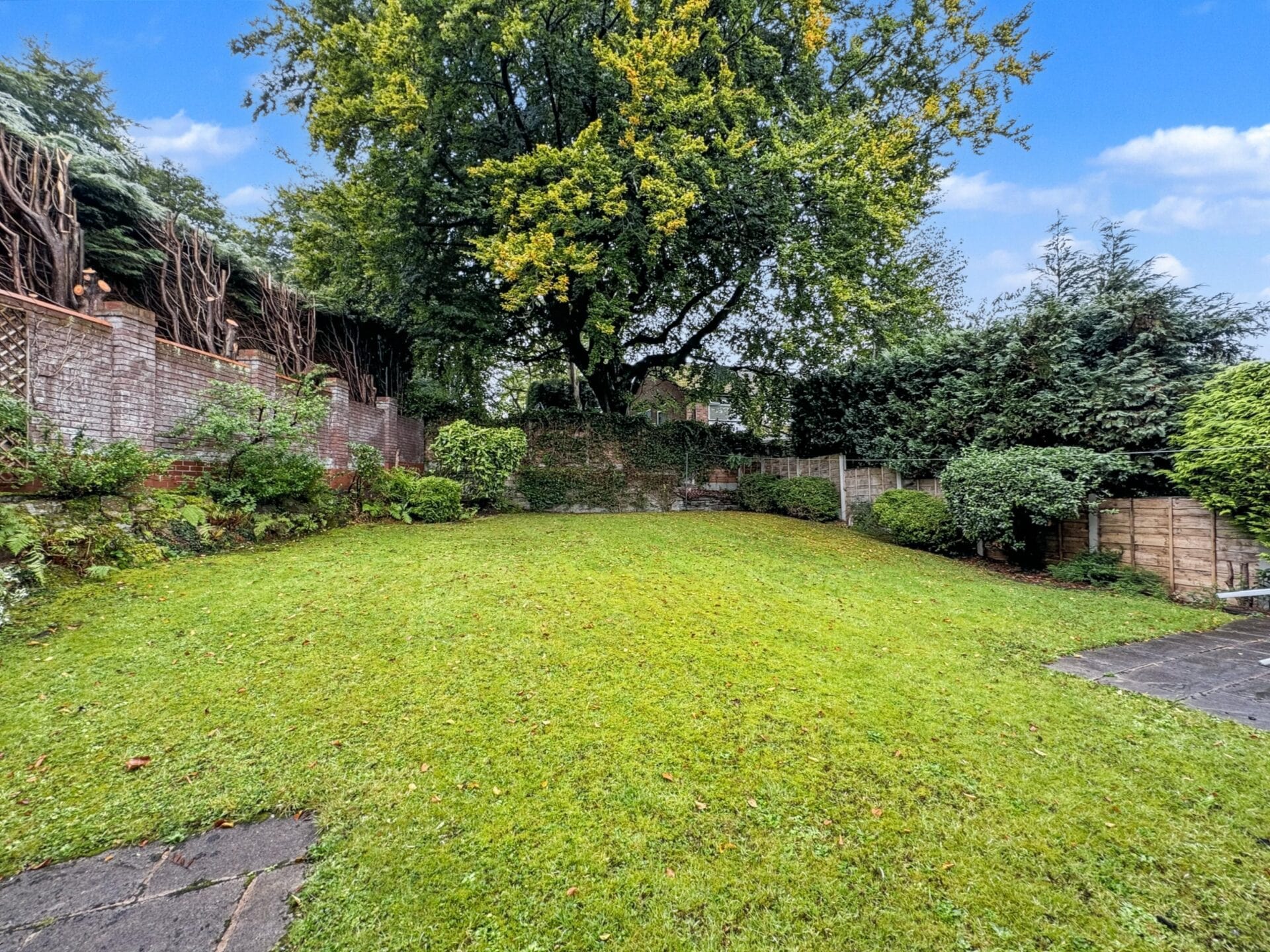 Number 36