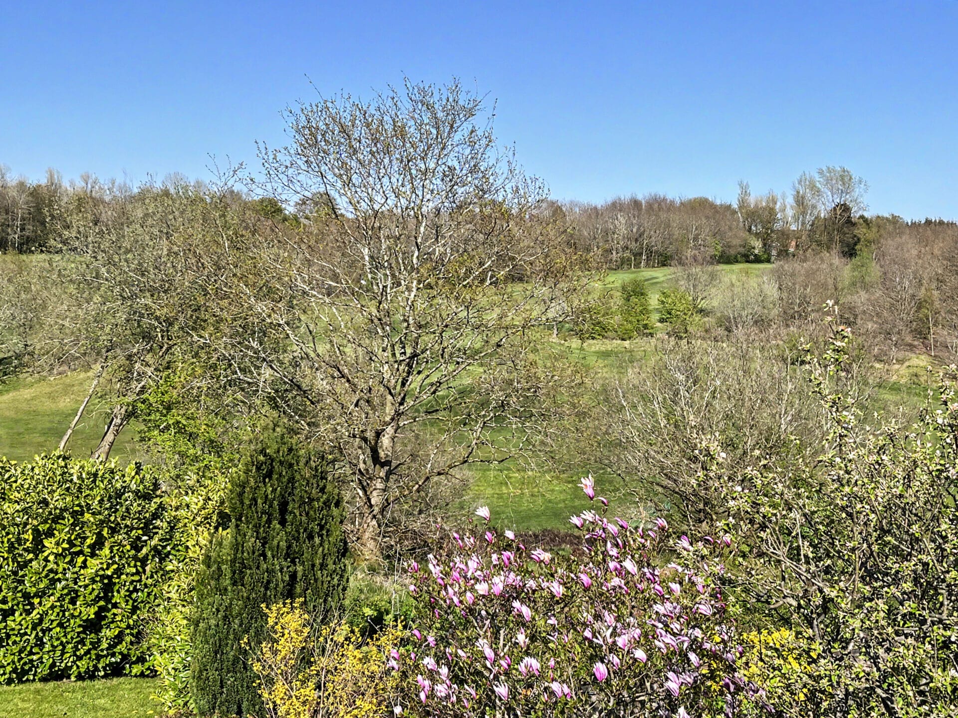 Number 34
