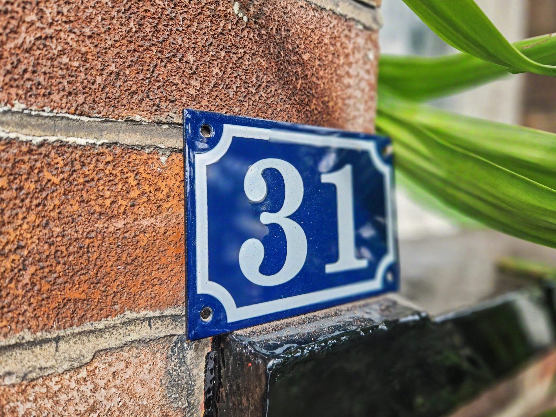 Number 23
